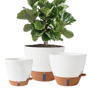Fielda 8/10/12 Inch Self Watering Pots for Indoor/Outdoor Plants - Large Plastic Planter with Drainage Holes, Water Level Indicator & Deep Reservoir, Modern Decorative Flower Pots (White)