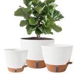 Fielda 8/10/12 Inch Self Watering Pots for Indoor/Outdoor Plants - Large Plastic Planter with Drainage Holes, Water Level Indicator & Deep Reservoir, Modern Decorative Flower Pots (White)