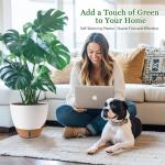 Fielda 8/10/12 Inch Self Watering Pots for Indoor/Outdoor Plants - Large Plastic Planter with Drainage Holes, Water Level Indicator & Deep Reservoir, Modern Decorative Flower Pots (White)