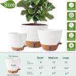 Fielda 8/10/12 Inch Self Watering Pots for Indoor/Outdoor Plants - Large Plastic Planter with Drainage Holes, Water Level Indicator & Deep Reservoir, Modern Decorative Flower Pots (White)