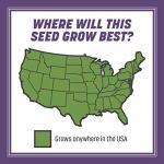 Pennington Smart Seed Dense Shade Grass Mix 3 lb