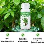 Money Tree Fertilizer for Money Trees and All Pachira Plants,Microbial Organic Liquid Plant Food for Houseplants’ Healthy Growth & Glossy Leaves 10 oz (300mL)