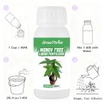 Money Tree Fertilizer for Money Trees and All Pachira Plants,Microbial Organic Liquid Plant Food for Houseplants’ Healthy Growth & Glossy Leaves 10 oz (300mL)