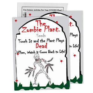 Zombie Plant Seed Packets – Grow a Live Sensitive Plant That Plays Dead When Touched! Indoor Plant Seeds & Educational STEM Activity | House Plant Seeds | Unique Garden Seeds – 2 Pack