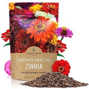 Bulk Zinnia Seeds - California Giants Mix - Bulk 1/4 Pound Bag Over 12,000 Flower Seeds - Mixed Colors and Large Blooms
