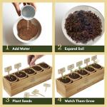 Planter's Choice Bonsai Tree Starter Kit - Unique Gifts for Women, Men - Christmas Gifts for Adults - Indoor Live House Plants - DIY Crafts for Adults Craft Kits - Hobby Gift for Gardening Lovers