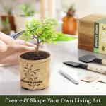 Planter's Choice Bonsai Tree Starter Kit - Unique Gifts for Women, Men - Christmas Gifts for Adults - Indoor Live House Plants - DIY Crafts for Adults Craft Kits - Hobby Gift for Gardening Lovers