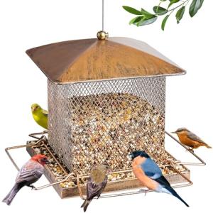 IWNTWY Bird Feeder, Heavy Duty Metal Bird Feeders for Outdoor Hanging, Wild Birdfeeder with Buckle for Garden Yard Outside Backyard, 3.5LB Large Capacity