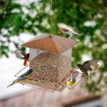 IWNTWY Bird Feeder, Heavy Duty Metal Bird Feeders for Outdoor Hanging, Wild Birdfeeder with Buckle for Garden Yard Outside Backyard, 3.5LB Large Capacity