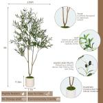 Realiflora Olive Trees Artificial Indoor, 5FT Tall Faux Olive Tree with White Tall Planter, Artificial Plants with Natural Wood Trunk and Lifelike Fruits for Home Office Decor (5FT)