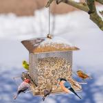 IWNTWY Bird Feeder, Heavy Duty Metal Bird Feeders for Outdoor Hanging, Wild Birdfeeder with Buckle for Garden Yard Outside Backyard, 3.5LB Large Capacity