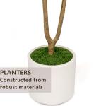 Realiflora Olive Trees Artificial Indoor, 5FT Tall Faux Olive Tree with White Tall Planter, Artificial Plants with Natural Wood Trunk and Lifelike Fruits for Home Office Decor (5FT)