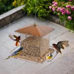 IWNTWY Bird Feeder, Heavy Duty Metal Bird Feeders for Outdoor Hanging, Wild Birdfeeder with Buckle for Garden Yard Outside Backyard, 3.5LB Large Capacity