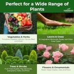 10-10-10 Plant Fertilizer Slow Release - 10 10 10 All Purpose Granular Garden Fertilizer for Vegetables, Tomato, Arborvitae, Shrubs, Rose, Flowers, Fruit, Fig Trees (2 QUARTS)