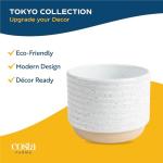 Costa Farms Philodendron Live Plant, Grower's Choice Indoor House Plant, Easy to Grow Vining Houseplant in Decorative Plant Pot, Climbing Trellis, Living Room Home or Office Decor, Birthday Gift