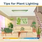 Costa Farms Philodendron Live Plant, Grower's Choice Indoor House Plant, Easy to Grow Vining Houseplant in Decorative Plant Pot, Climbing Trellis, Living Room Home or Office Decor, Birthday Gift