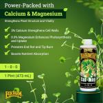 FoxFarm BushDoctor Cal-Mag - Liquid Calcium & Magnesium Supplement, Prevents Blossom End Rot & Tip Burn - Formula with 3% Calcium, 0.9% Magnesium for Gardening- NPK 1-0-0 (Pint)