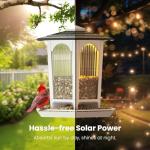2 Pack Solar Bird Feeders for Outdoors Hanging - Attract Wild Birds & Cardinals, Elegant Minimalist Design, Garden Décor, Unique Gift