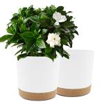 QCQHDU 10 inch Plant Pot, 2 Pack Planters for Indoor Plants with Drainage Holes & Saucer, Outdoor Flower Pots Home Garden Modern Decor