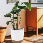 QCQHDU 10 inch Plant Pot, 2 Pack Planters for Indoor Plants with Drainage Holes & Saucer, Outdoor Flower Pots Home Garden Modern Decor