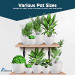 Lifemaster Eco Friendly Plant Pot Set -5-Pack Home Decor Flower Indoor and Outdoor Plastic Pots with Drainage Holes, Assorted Sizes (7", 6.6", 6", 5.3", 4.8") - Stackable Garden Versatile Planters