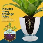 Lifemaster Eco Friendly Plant Pot Set -5-Pack Home Decor Flower Indoor and Outdoor Plastic Pots with Drainage Holes, Assorted Sizes (7", 6.6", 6", 5.3", 4.8") - Stackable Garden Versatile Planters