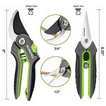 WORKPRO Garden Pruning Shears 2 Pack, 8" Bypass Pruning Shears and 6.25" Straight Garden Scissors, Premium Plant Shears, Garden Clippers Hand Tools for Cutting Flowers, Trimming Plants, Picking Fruits