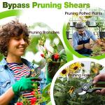 WORKPRO Garden Pruning Shears 2 Pack, 8" Bypass Pruning Shears and 6.25" Straight Garden Scissors, Premium Plant Shears, Garden Clippers Hand Tools for Cutting Flowers, Trimming Plants, Picking Fruits