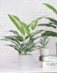 JC nateva 16" Small Fake Plants Artificial Tropical Faux Plants Indoor for Office Desk Shelf Bathroom Home Decor
