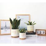 Gepege White Indoor Pots for Plants, Ceramic Planter with Drainage Hole, 6.0 inch+5.0 Inch+4.0 Inch. Succulent Orchid Flower Pot - Rainbow Pearl Glaze