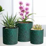 Meowell 6/5/4 inch Plant Pots, 3 Pack Cylinder Flower Pots for Small Indoor Outdoor Plants, Plastic Planters with Drainage Holes and Saucers for Garden Succulent Plants, Black with Green Speckles