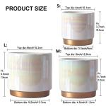 Gepege White Indoor Pots for Plants, Ceramic Planter with Drainage Hole, 6.0 inch+5.0 Inch+4.0 Inch. Succulent Orchid Flower Pot - Rainbow Pearl Glaze