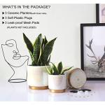 Gepege White Indoor Pots for Plants, Ceramic Planter with Drainage Hole, 6.0 inch+5.0 Inch+4.0 Inch. Succulent Orchid Flower Pot - Rainbow Pearl Glaze