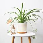 Gepege White Indoor Pots for Plants, Ceramic Planter with Drainage Hole, 6.0 inch+5.0 Inch+4.0 Inch. Succulent Orchid Flower Pot - Rainbow Pearl Glaze