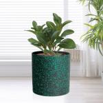 Meowell 6/5/4 inch Plant Pots, 3 Pack Cylinder Flower Pots for Small Indoor Outdoor Plants, Plastic Planters with Drainage Holes and Saucers for Garden Succulent Plants, Black with Green Speckles