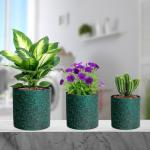 Meowell 6/5/4 inch Plant Pots, 3 Pack Cylinder Flower Pots for Small Indoor Outdoor Plants, Plastic Planters with Drainage Holes and Saucers for Garden Succulent Plants, Black with Green Speckles