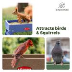 Kingsyard Ground Bird Feeder for Outdoors - Recycled Plastic Platform Feeder for Wild Birds, Squirrels, Chicken, 5 LBS Large Capacity, Green