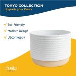 Costa Farms Peace Lily Live Plant in Decorative Pot, Air Purifying Flowering Indoor Houseplant, Perfect for Home, Room, or Office Decor, Great House Warming or Birthday Gift, 14-24 Inches Tall