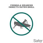 Safer 5118-6 Insect Killing Soap Concentrate - Insecticidal Soap for Plants - Kills Aphids, Whiteflies, Thrips, Spider Mites, and More - OMRI Listed for Organic Use