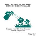 Safer 5118-6 Insect Killing Soap Concentrate - Insecticidal Soap for Plants - Kills Aphids, Whiteflies, Thrips, Spider Mites, and More - OMRI Listed for Organic Use