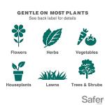 Safer 5118-6 Insect Killing Soap Concentrate - Insecticidal Soap for Plants - Kills Aphids, Whiteflies, Thrips, Spider Mites, and More - OMRI Listed for Organic Use