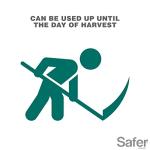 Safer 5118-6 Insect Killing Soap Concentrate - Insecticidal Soap for Plants - Kills Aphids, Whiteflies, Thrips, Spider Mites, and More - OMRI Listed for Organic Use