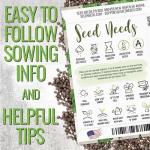 Seed Needs Shiso Seeds for Planting Green & Red Perilla - Non-GMO Heirloom & Untreated Herb Seed to Plant an Indoor/Outdoor Culinary Garden (Collection of 2 Packets)