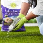 St. Gabriel Organics - 15 Pound Milky Spore Granular Natural Japanese Beetle Grub Control and Repellent for Lawn and Garden Care