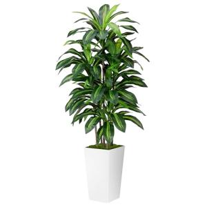 Artificial Dracaena Plant Indoor 5FT - Fake Tree with White Tall Planter - Faux Yucca Tall Fake Floor Plant in Pot - Artificial Trees for Home Office Living Room Decor Indoor