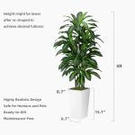 Artificial Dracaena Plant Indoor 5FT - Fake Tree with White Tall Planter - Faux Yucca Tall Fake Floor Plant in Pot - Artificial Trees for Home Office Living Room Decor Indoor