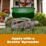 Scotts Turf Builder WinterGuard Fall Weed & Feed5, Weed Killer Plus Fall Fertilizer, 4,000 sq. ft., 11.28 lbs.