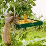 MIXXIDEA Bird Feeder Hanging Tray, Bird Feeders for Outdoors, Wooden Seed Tray Platform Mesh Seed Platform for Garden Yard Outside Decoration Attracting for Wild Birds (Green-1pk)