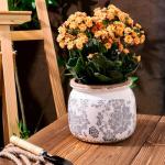 Dosayes Vintage Grey Ceramic Ice Crack Flower Pot with Drainage Holes, Country Rustic Planters for Indoor and Outdoor,Tuscan Decor,Home,Living Room, Garden Decor, Gardening Gift