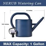 Watering Can 1 Gallon for Indoor Plants, Garden, Outdoor Plant House Flower, Gallon Large Long Spout with Sprinkler Head (Blue)